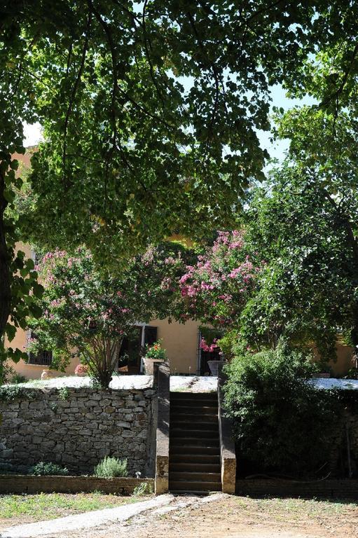 Villa Boldrini B&B Venturina Terme Zewnętrze zdjęcie