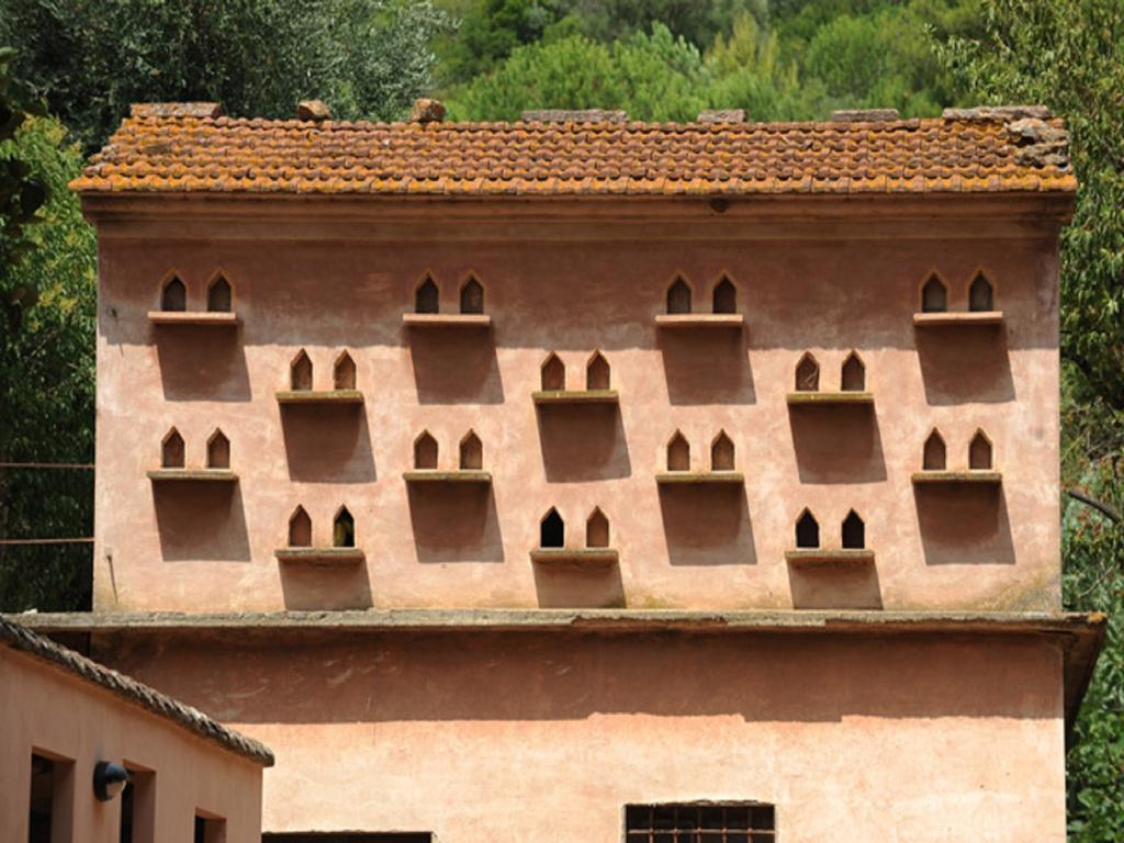 Villa Boldrini B&B Venturina Terme Zewnętrze zdjęcie